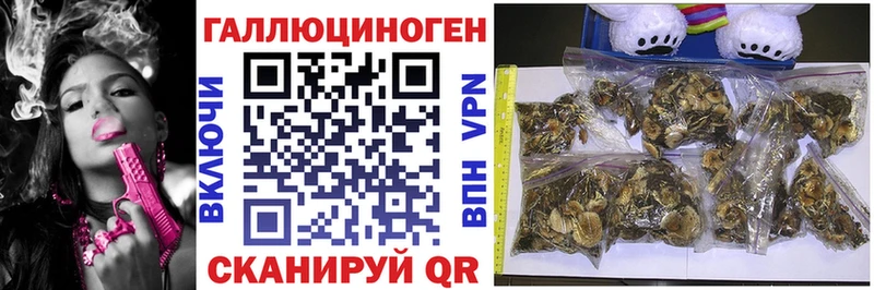 Галлюциногенные грибы ЛСД  Рыльск 